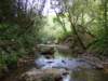 dscf6372_small.jpg