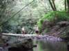 dscf6373_small.jpg