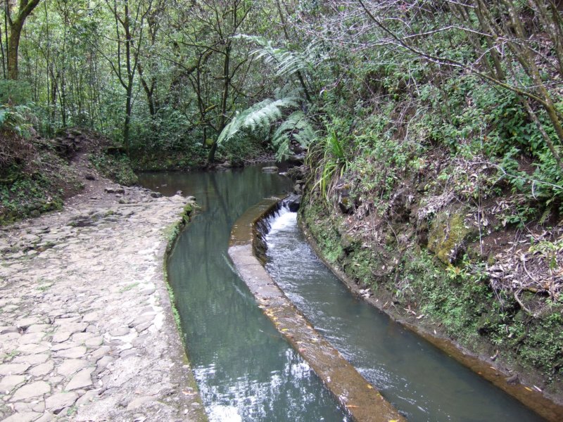 dscf6374.jpg