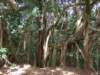 dscf6377_small.jpg