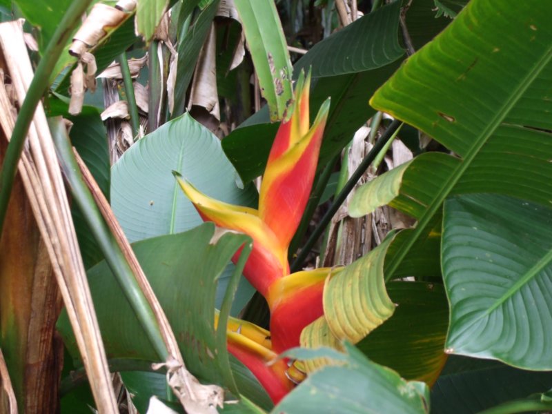 dscf6378.jpg