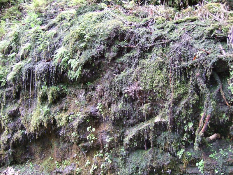 dscf6382.jpg