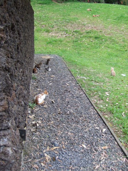 dscf6385.jpg