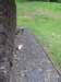 dscf6385_small.jpg