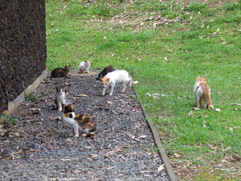 dscf6387.jpg