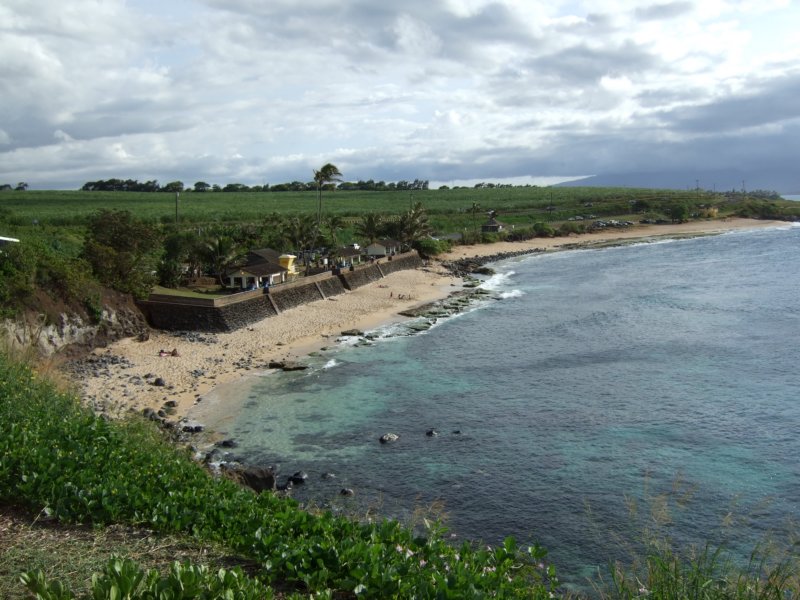 dscf6390.jpg