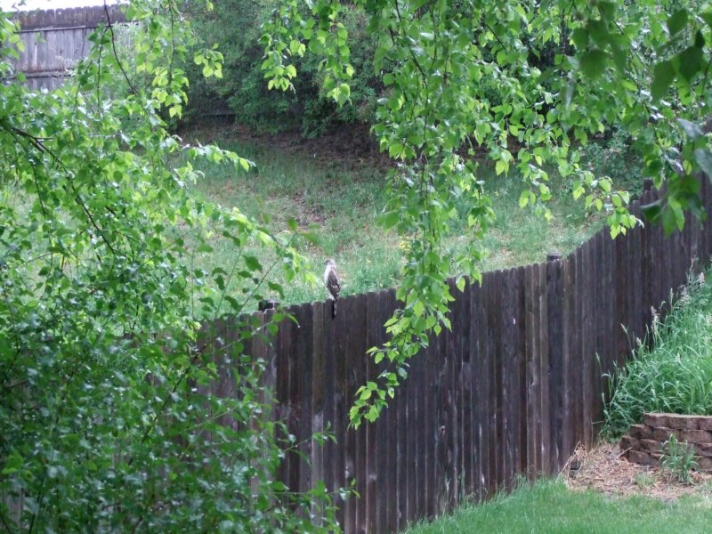 dscf6394.jpg