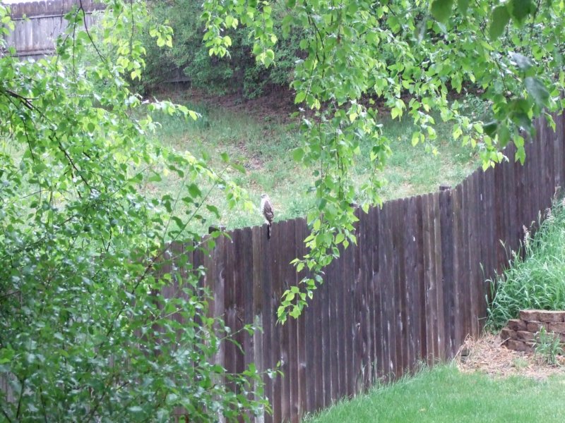 dscf6395.jpg