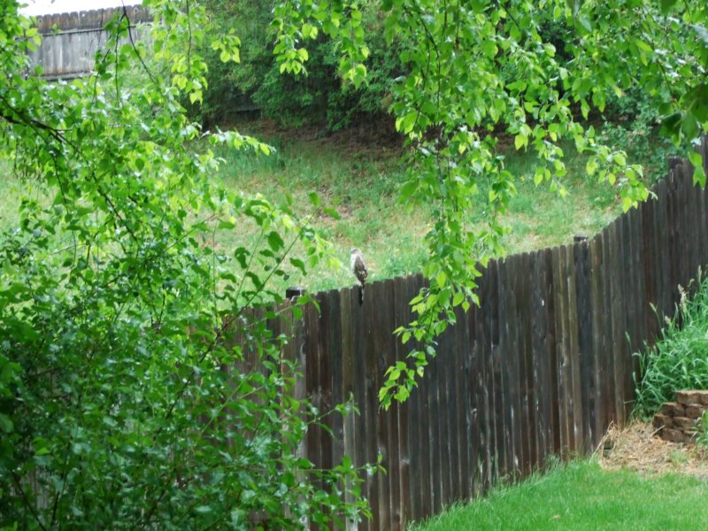 dscf6397.jpg