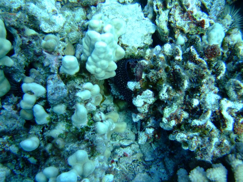 dscf6125.jpg