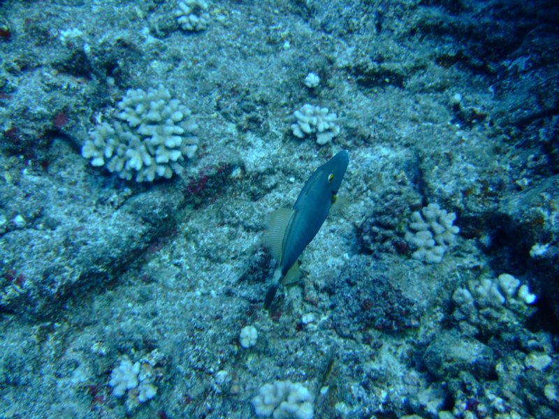 dscf6133.jpg