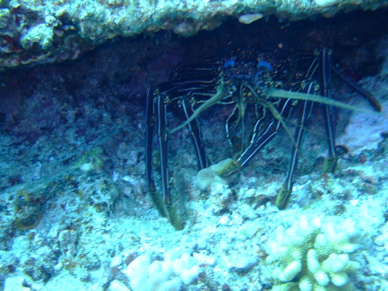 dscf6135.jpg