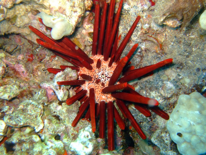 dscf6141.jpg