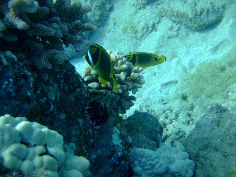 dscf6155.jpg