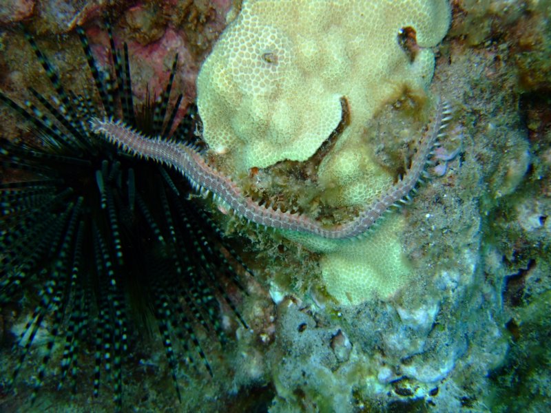 dscf6158.jpg