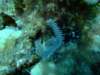 dscf6171_small.jpg