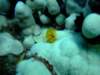 dscf6173_small.jpg
