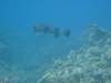 dscf6176_small.jpg