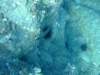 dscf6177_small.jpg