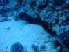 dscf6201_small.jpg