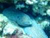 dscf6253_small.jpg