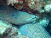 dscf6254_small.jpg