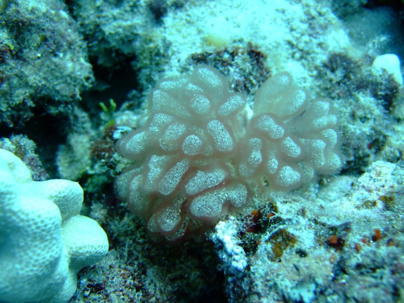 dscf6255.jpg