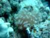 dscf6255_small.jpg