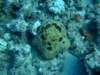 dscf6256_small.jpg