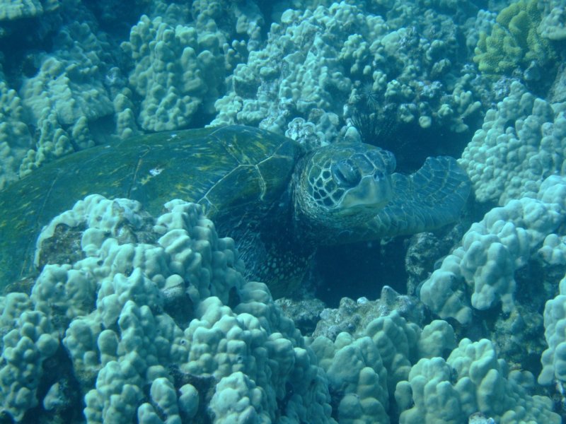 dscf6258.jpg