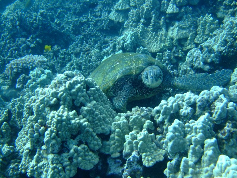 dscf6259.jpg