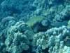 dscf6259_small.jpg