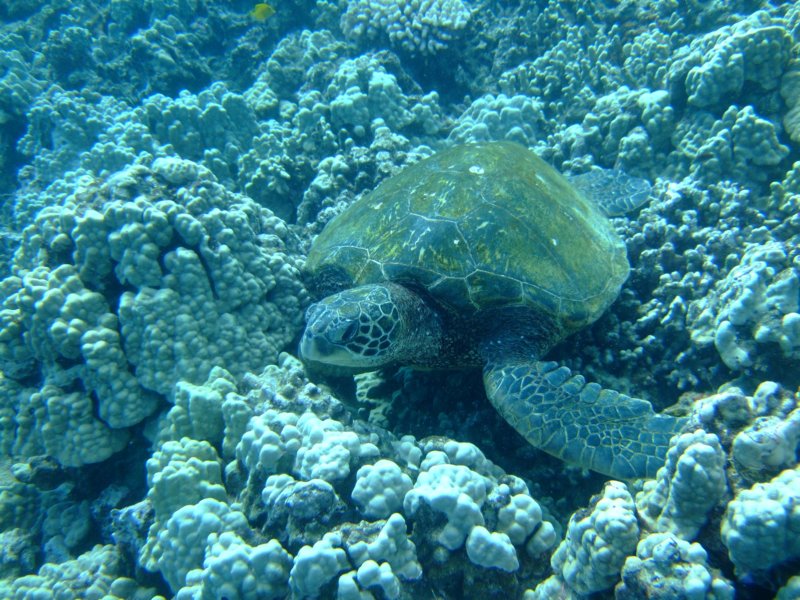 dscf6260.jpg