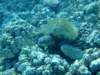 dscf6260_small.jpg