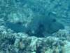 dscf6261_small.jpg