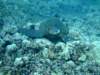 dscf6262_small.jpg