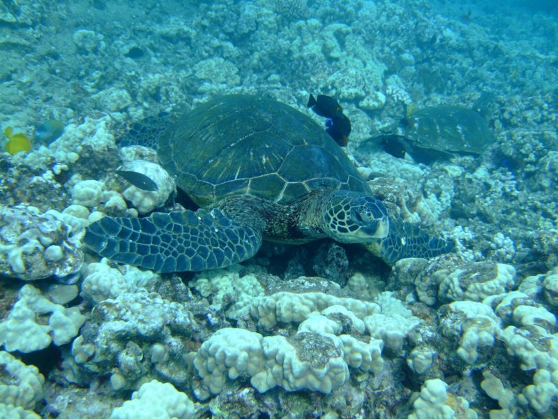 dscf6263.jpg