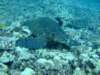 dscf6263_small.jpg