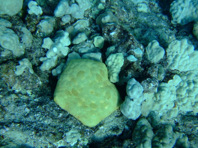 dscf6268.jpg