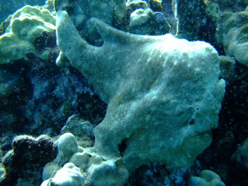 dscf6270.jpg