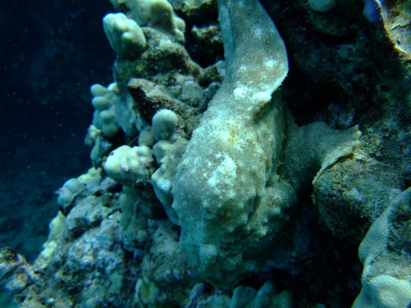 dscf6272.jpg