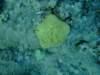 dscf6273_small.jpg