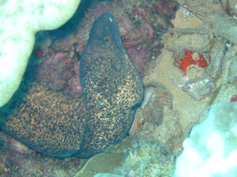 dscf6274.jpg