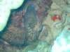 dscf6274_small.jpg