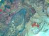 dscf6275_small.jpg