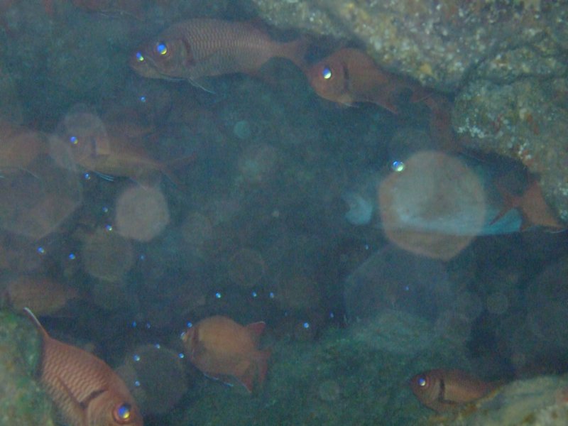 dscf6278.jpg