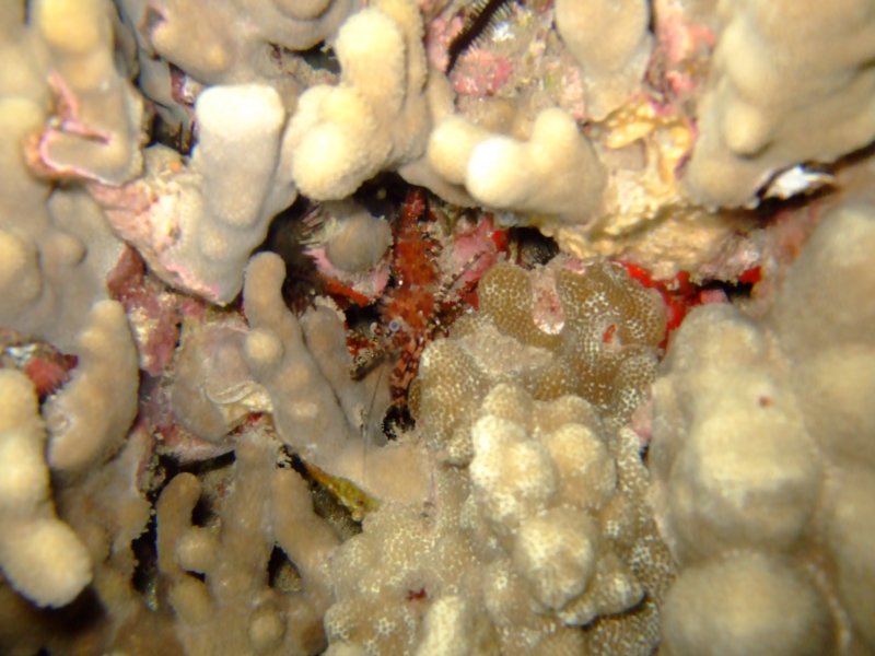 dscf6283.jpg