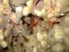 dscf6283_small.jpg