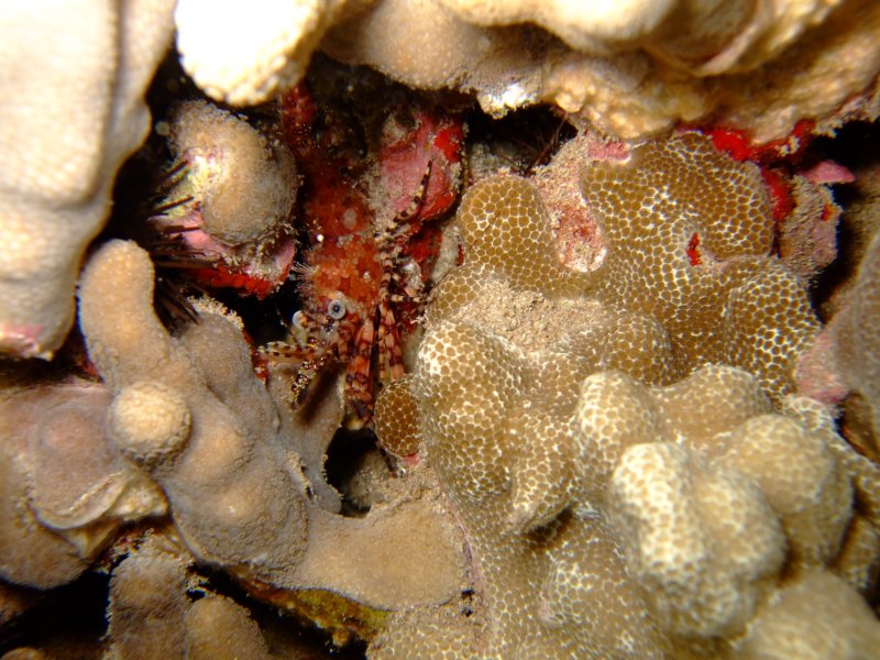 dscf6284.jpg