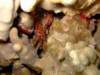 dscf6284_small.jpg